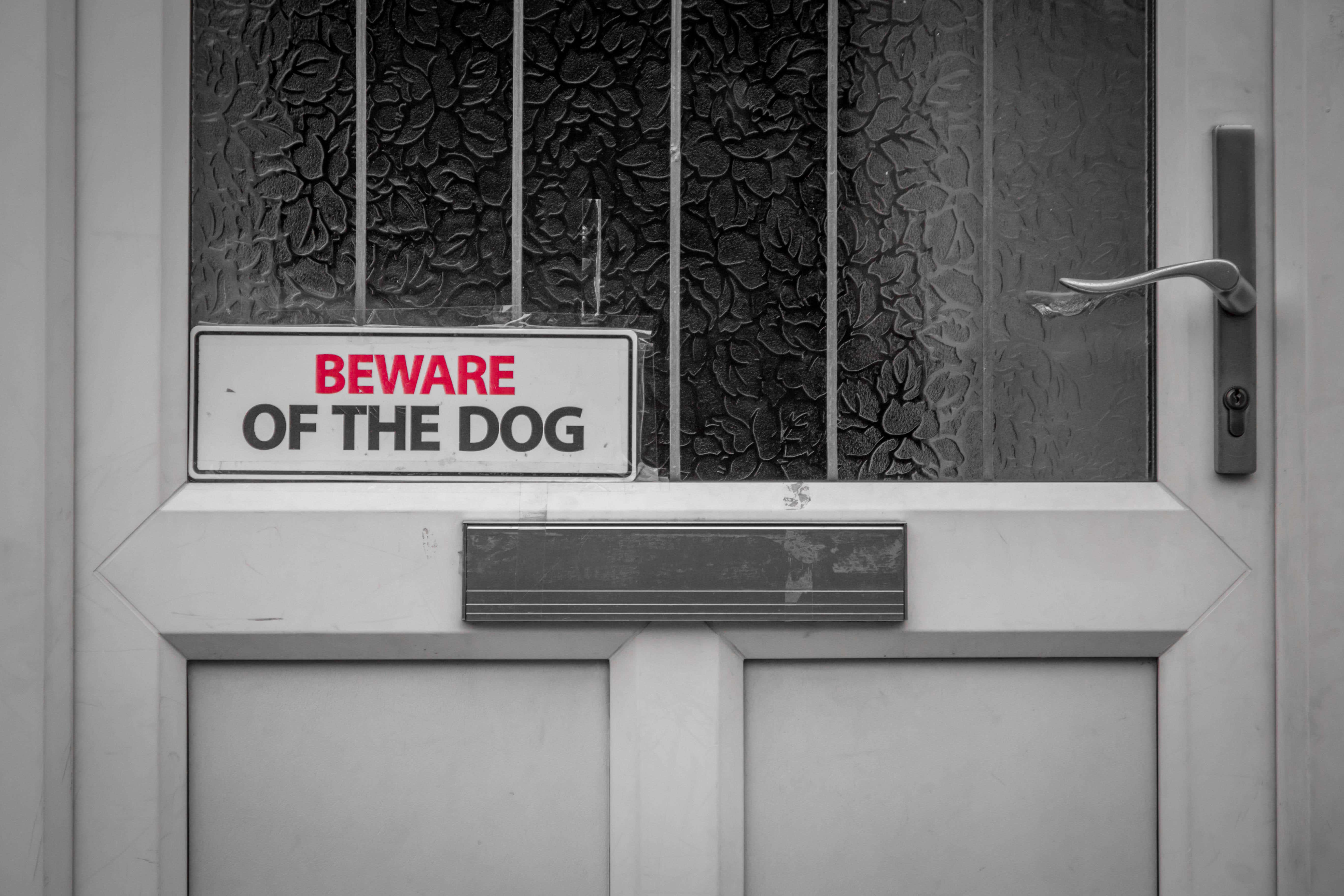 As well as home security measures, some 6% of respondents said they had bought a dog because they are worried about crime in their area, according to the party (Alamy/PA)