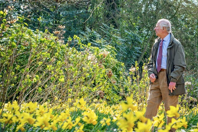The King in the gardens of his home at Highgrove (Leanne Punshon/The Prince’s Foundation/PA)
