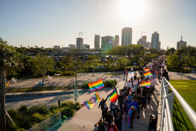 <p>Protesters marching in St. Petersburg, Florida </p>