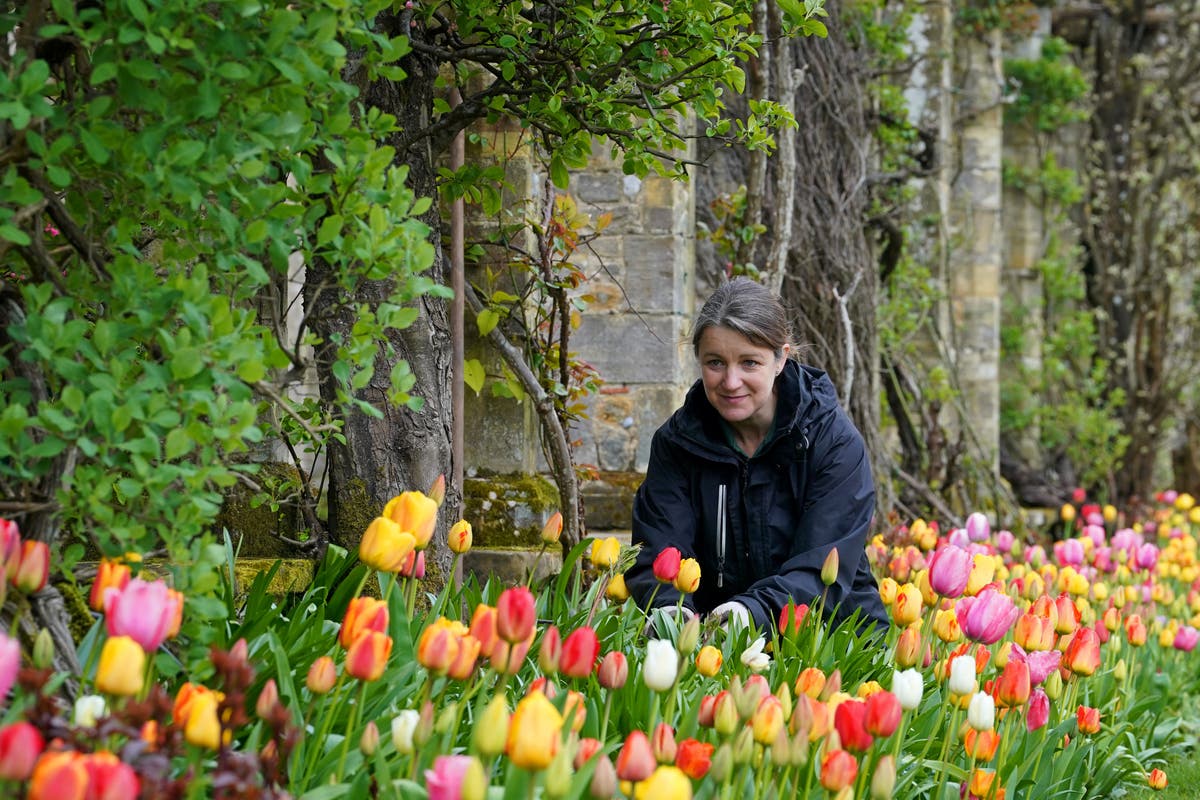 Bank holiday sunshine tinged with threat of showers