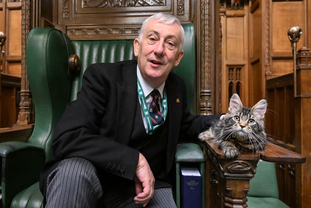 Sir Lindsay Hoyle is a lover of cats and other animals (UK Parliament/Jessica Taylor/PA)