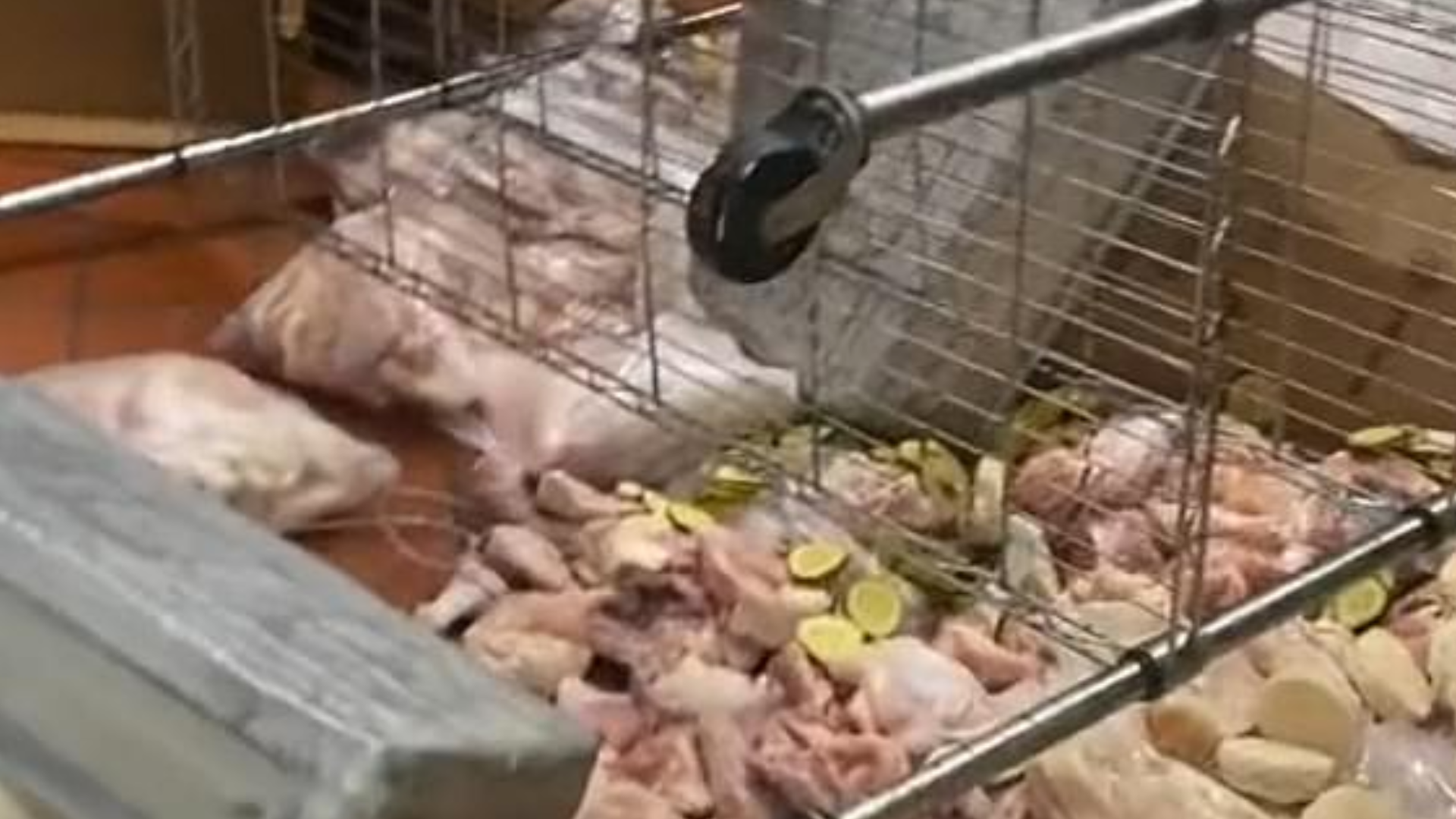 <p>Moment Popeyes employee trashes restaurant after 'not getting paid for a month'</p>