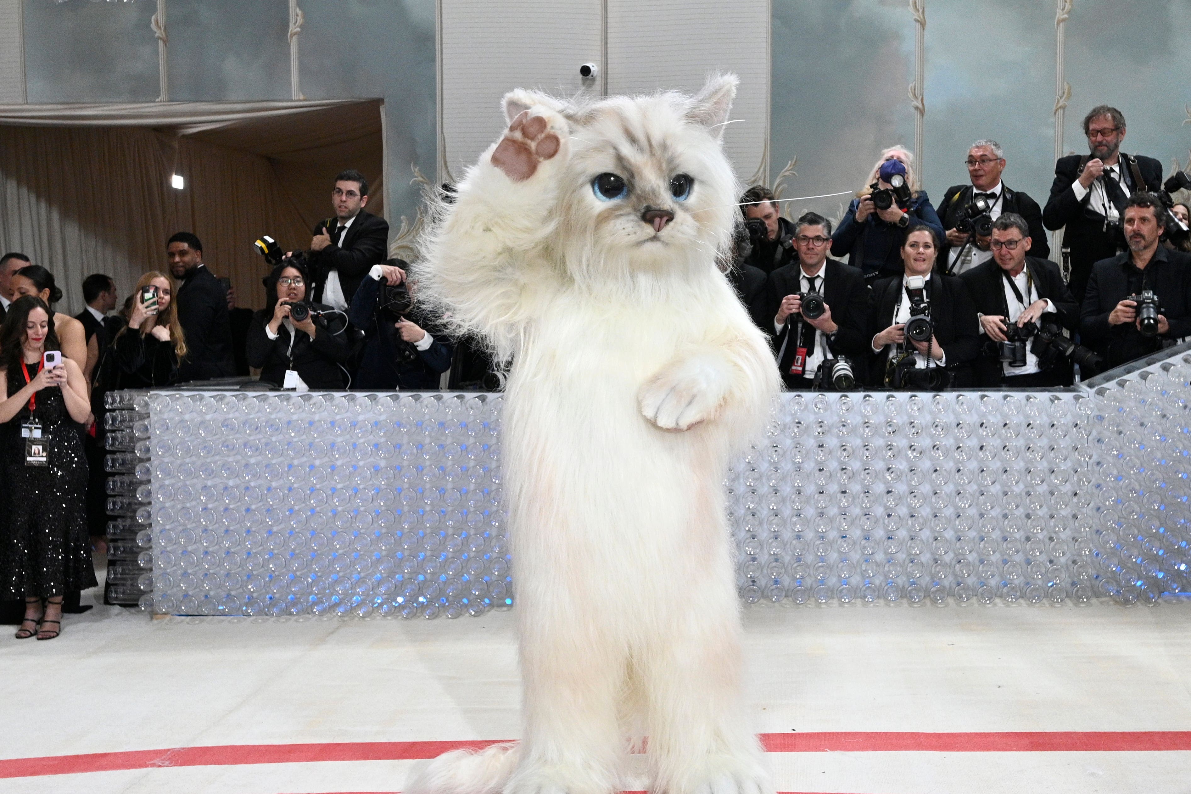 Karl Lagerfeld’s cat honoured at Met Gala with felineinspired outfits