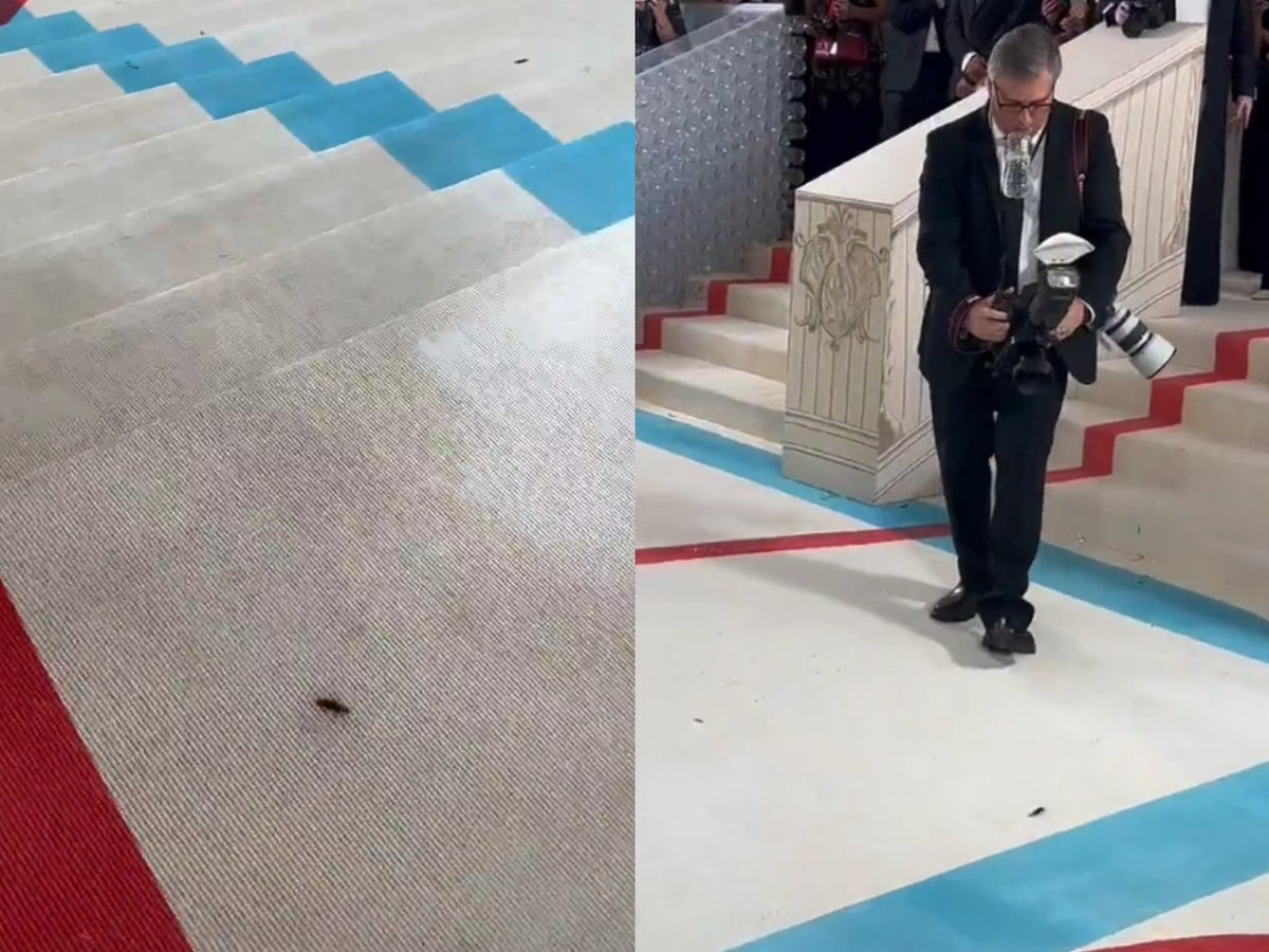 A cockroach on the red carpet turned out to be a Met…
