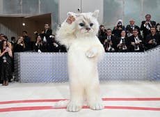 Inside the Met Gala: A furry feline star, a tardy Cinderella