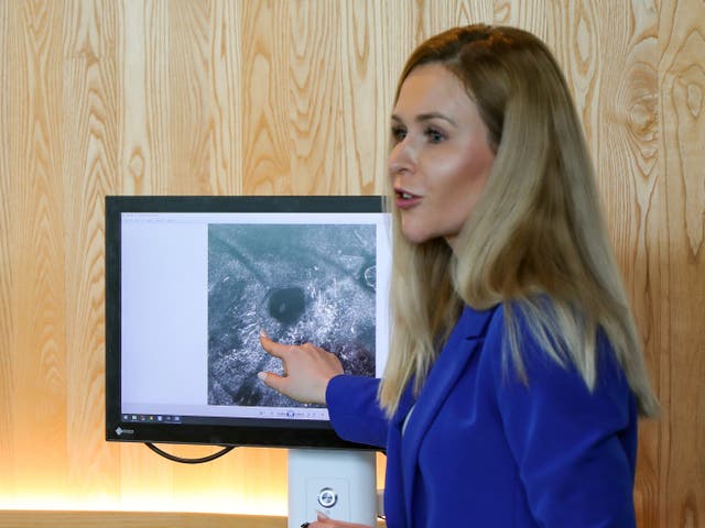 <p>Dr Joanna Ludzik, describes the Reflectance Confocal Microscopy technology to event attendees </p>