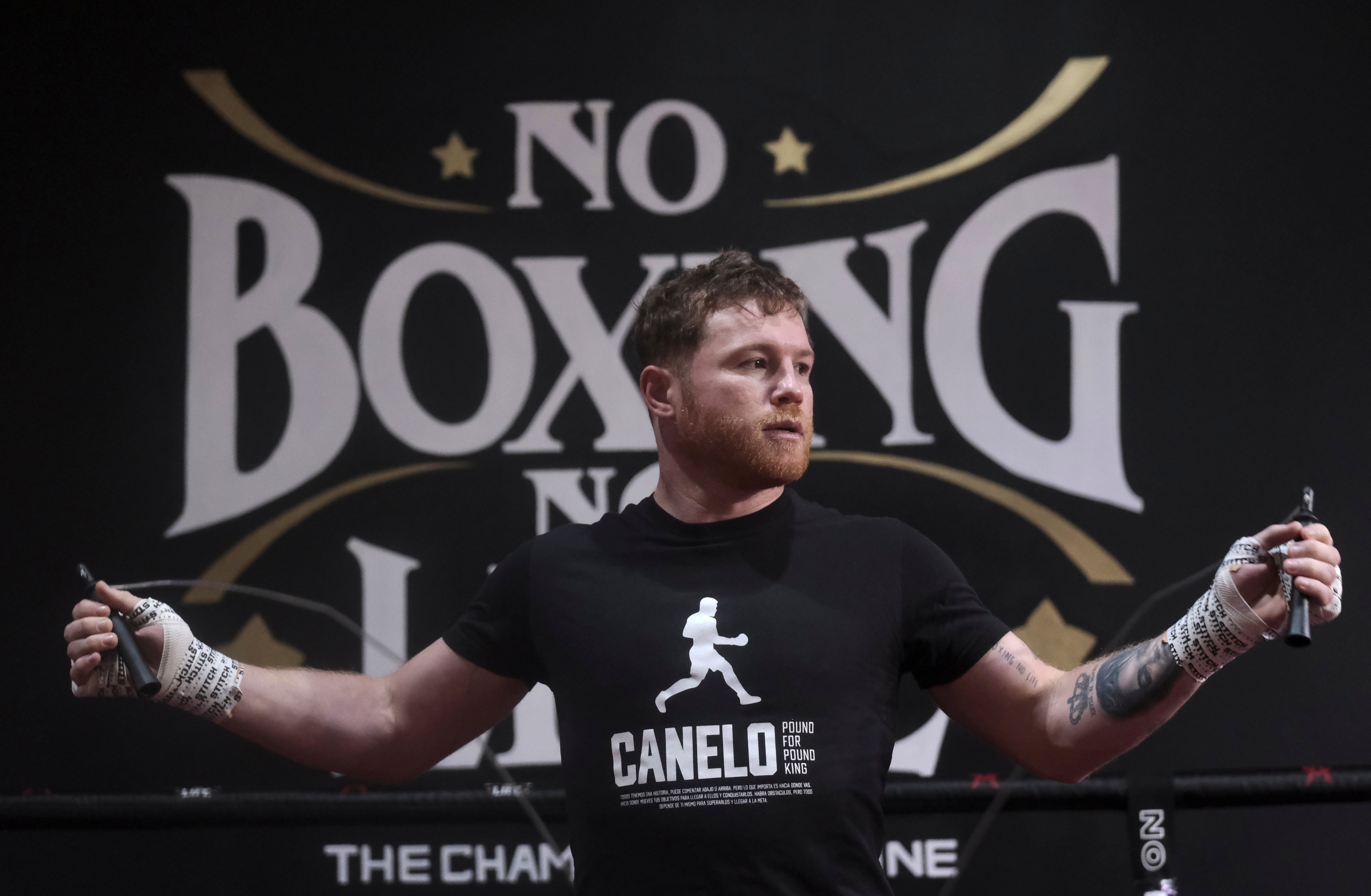 CANELO ALVAREZ