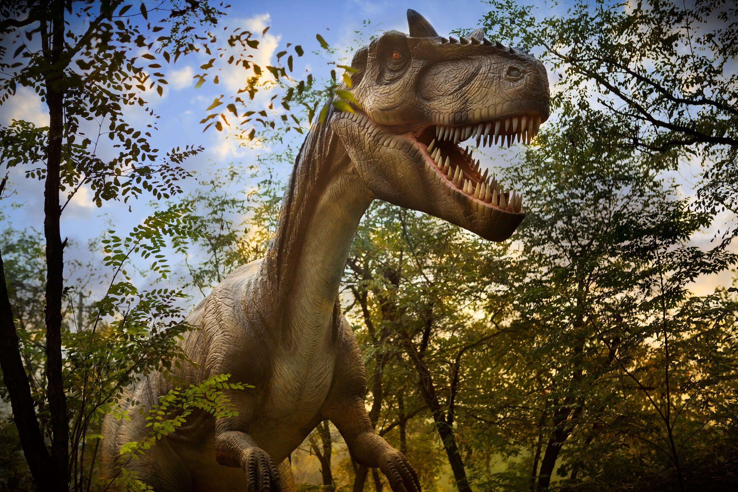 A T-Rex at Roaar! Dinosaur Adventure