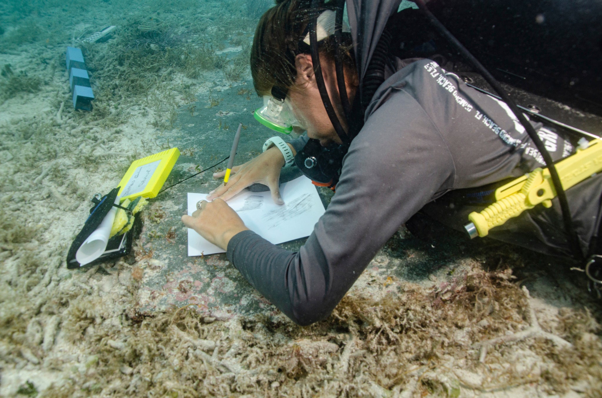 Dry Tortugas Underwater Cemetery