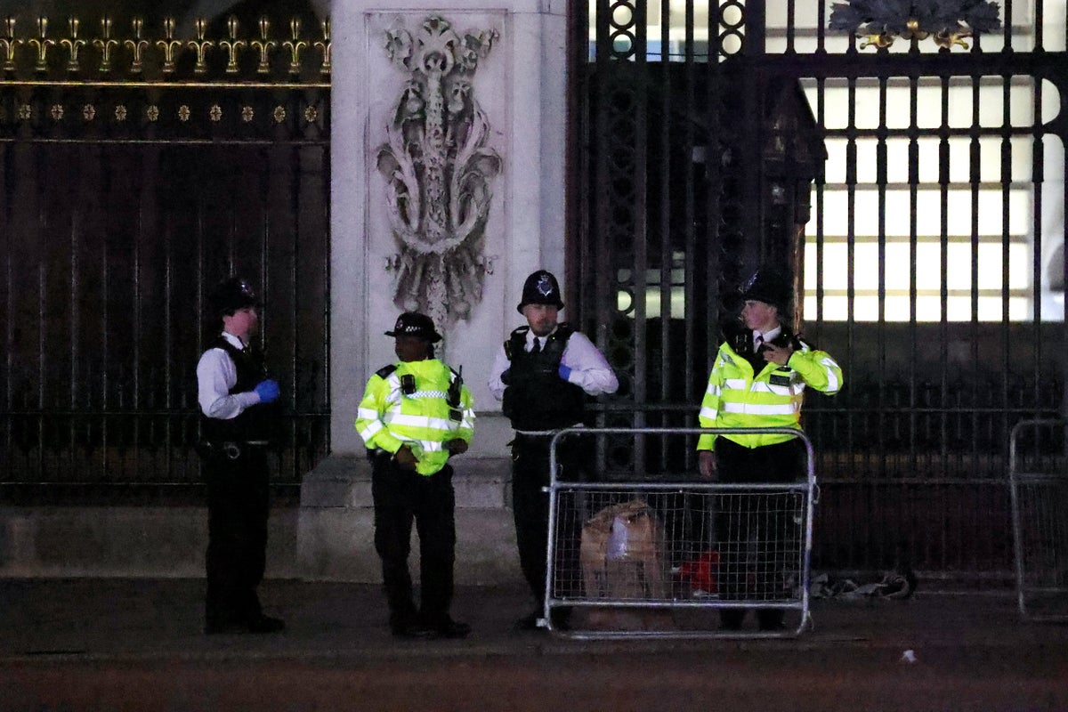 Man arrested after ‘suspected shotgun cartridges thrown into Buckingham Palace grounds’