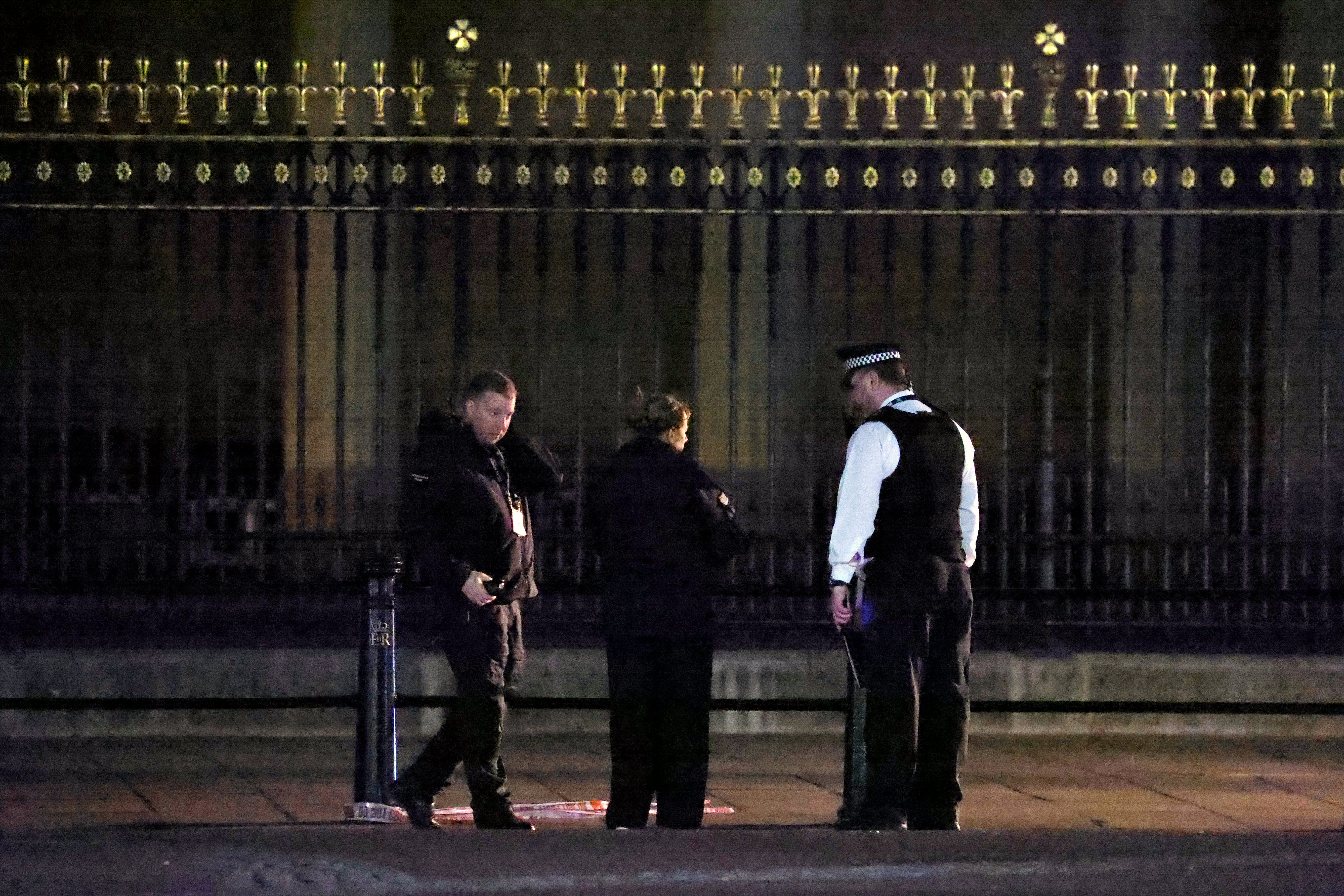 A man was arrested on suspicion of possession of an offensive weapon and a controlled explosion was carried out outside Buckingham Palace