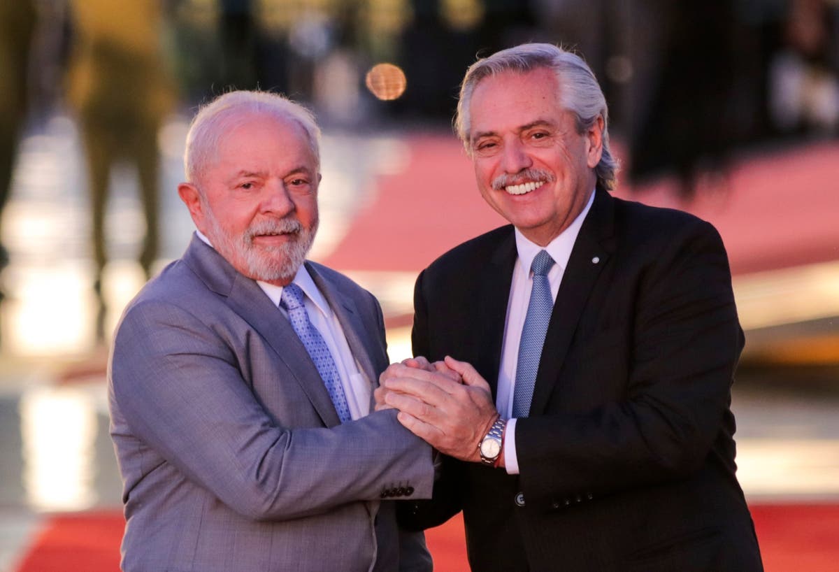 Argentina's Fernandez seeks dollar relief from Brazil's Lula