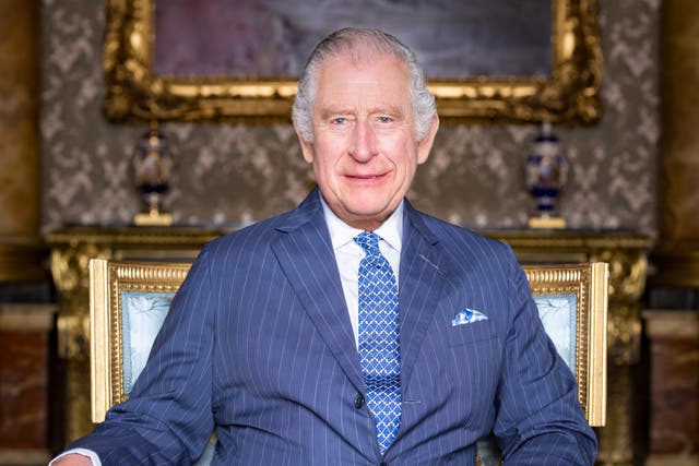 King Charles III (Hugo Burnand/Royal Household 2023/PA)
