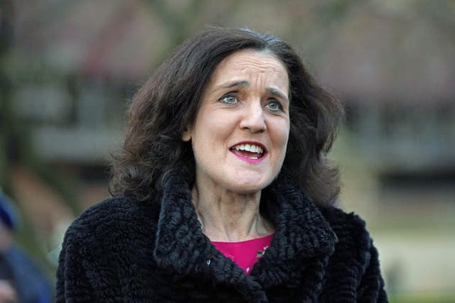 <p>Conservative former minister Theresa Villiers (Yui Mok/PA)</p>