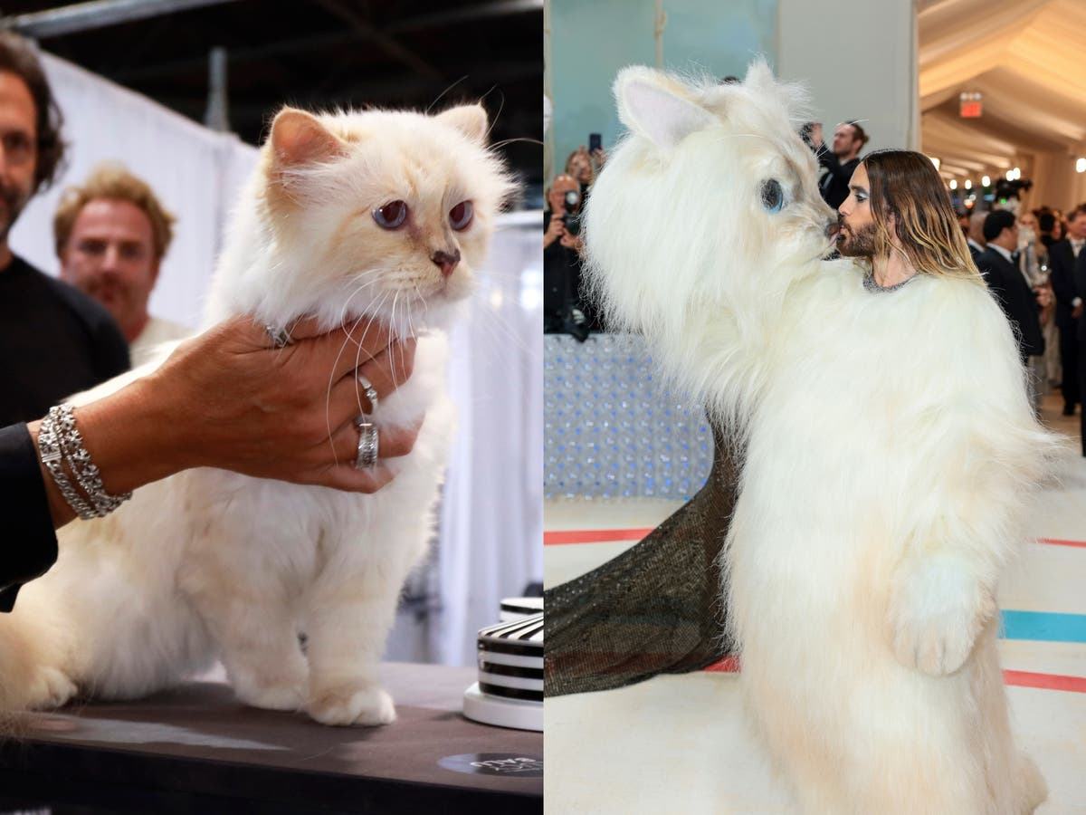Karl Lagerfeld’s cat Choupette ‘unimpressed’ by Jared Leto’s Met Gala costume