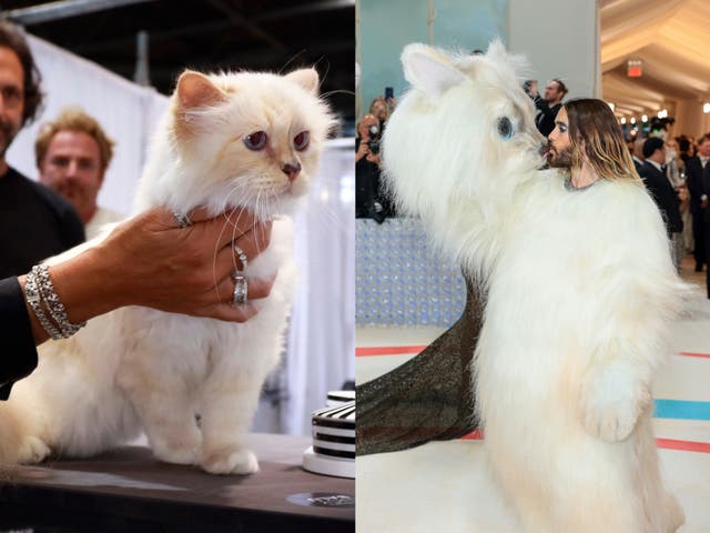 <p>Choupette (left) was apparently unimpressed by Jared Leto’s Met Gala costume</p>