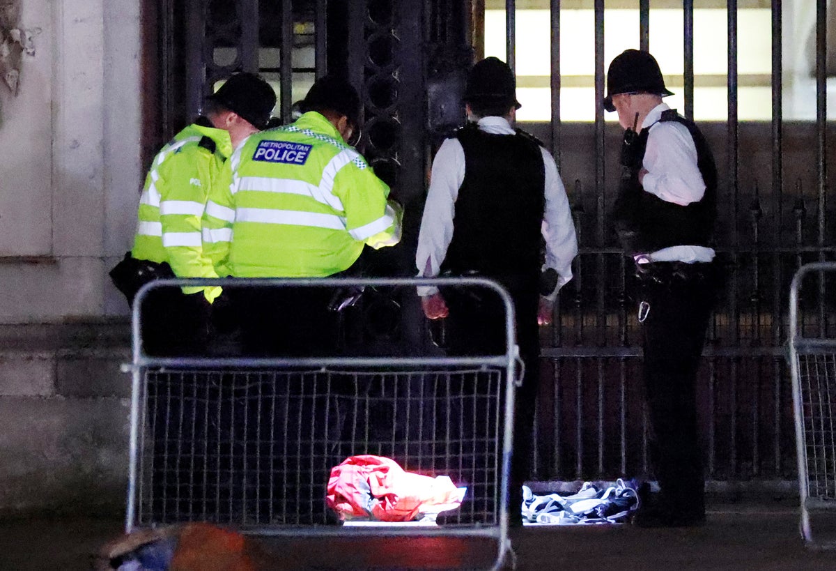 Man arrested outside Buckingham Palace after ‘shotgun cartridges thrown into grounds’