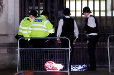 Man arrested outside Buckingham Palace after ‘shotgun cartridges thrown into grounds’