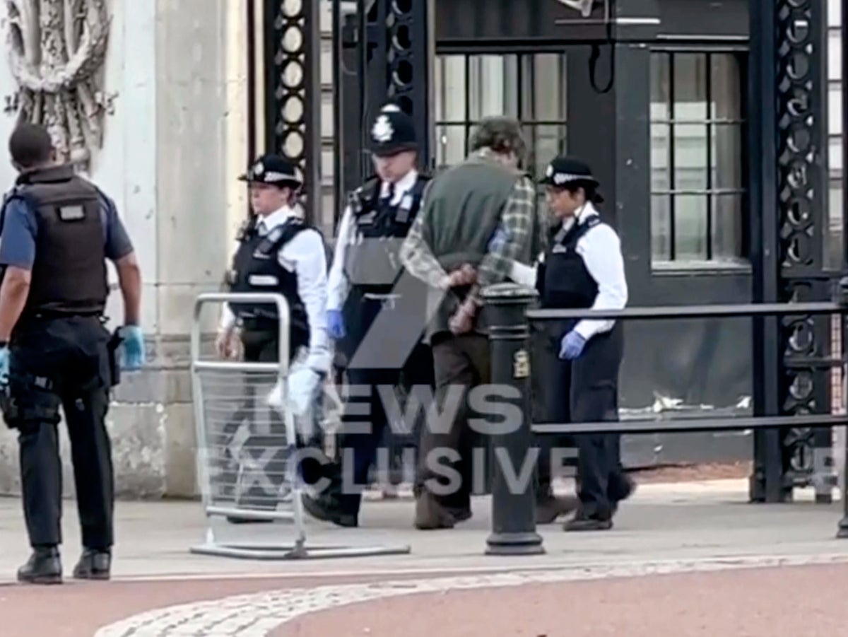 Buckingham Palace incident: Man ‘asked to speak to soldier’ before throwing shotgun cartridges