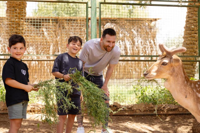 Lionel Messi and his children feed gazelles on the player’s unauthorised trip to Saudi Arabia (Handout from Saudi Tourism Authority/PA)