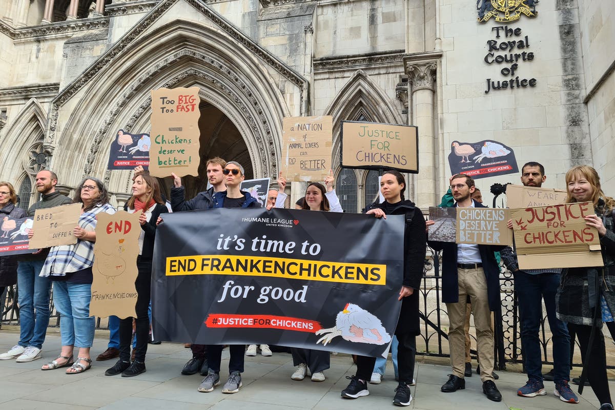 Animal welfare charity takes Government to court over Frankenchickens