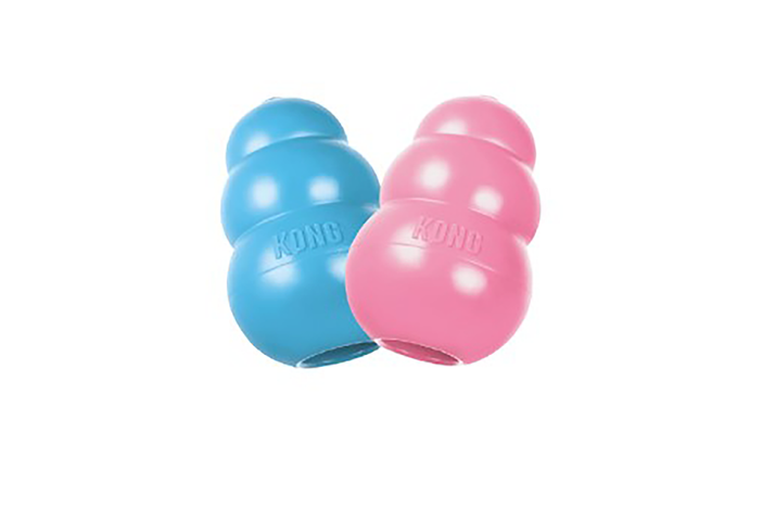 Kong puppy treat toy