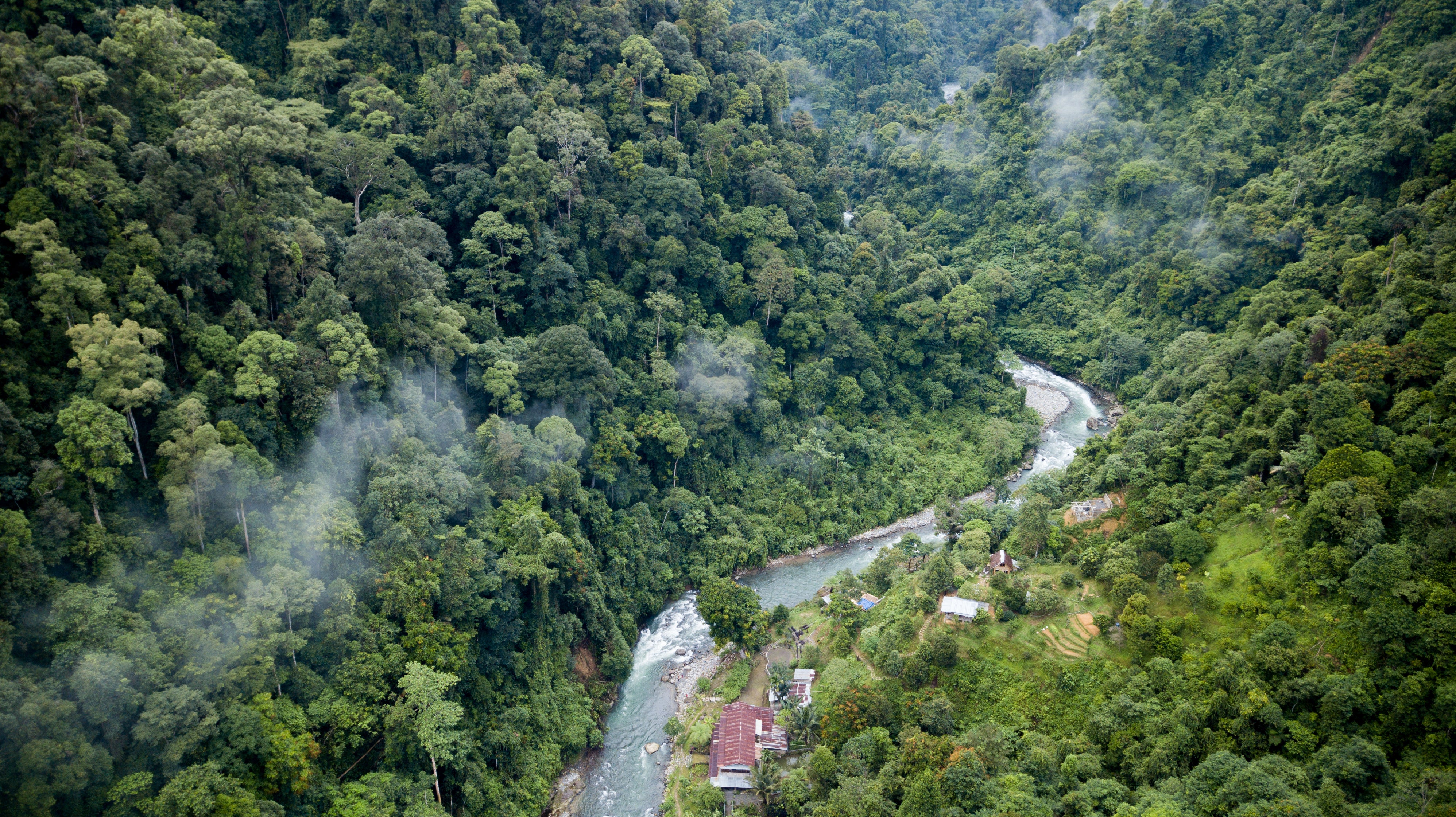 Gunung Leuser National Park is teeming with wildlife