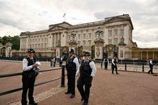 Coronation disruptors will face ‘very swift action’ from Met Police, senior officer says