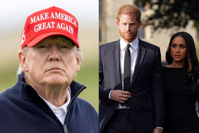 <p>Trump’s feud with Harry and Meghan goes back to 2016 </p>