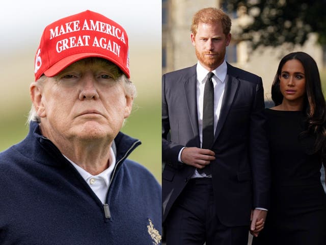 <p>Trump’s feud with Harry and Meghan goes back to 2016 </p>