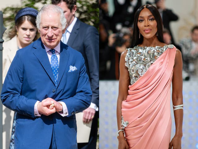 <p>King Charles and Naomi Campbell have met several times</p>