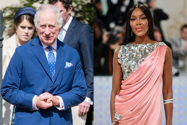 <p>King Charles and Naomi Campbell have met several times</p>