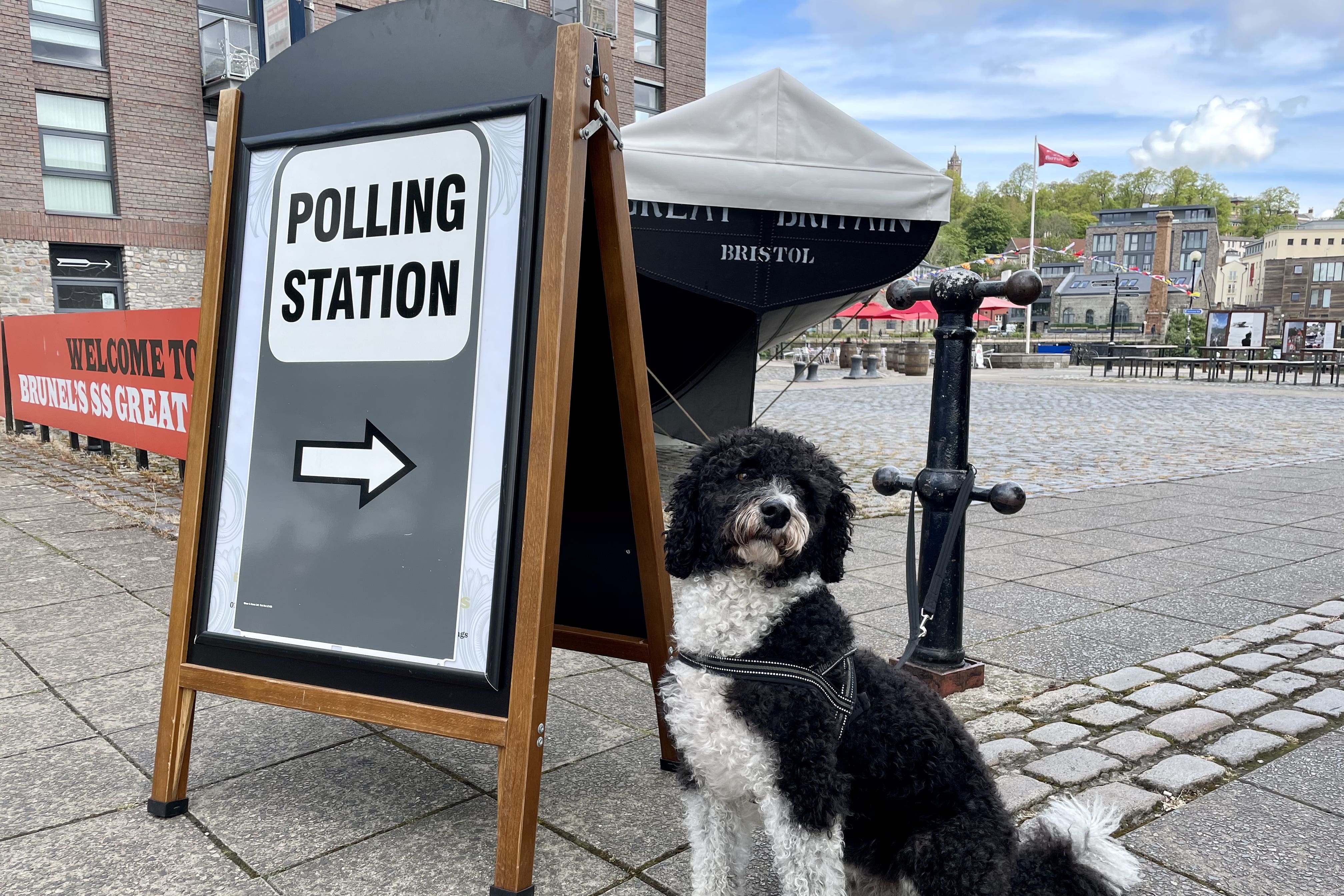 A dog waits outside a polling station