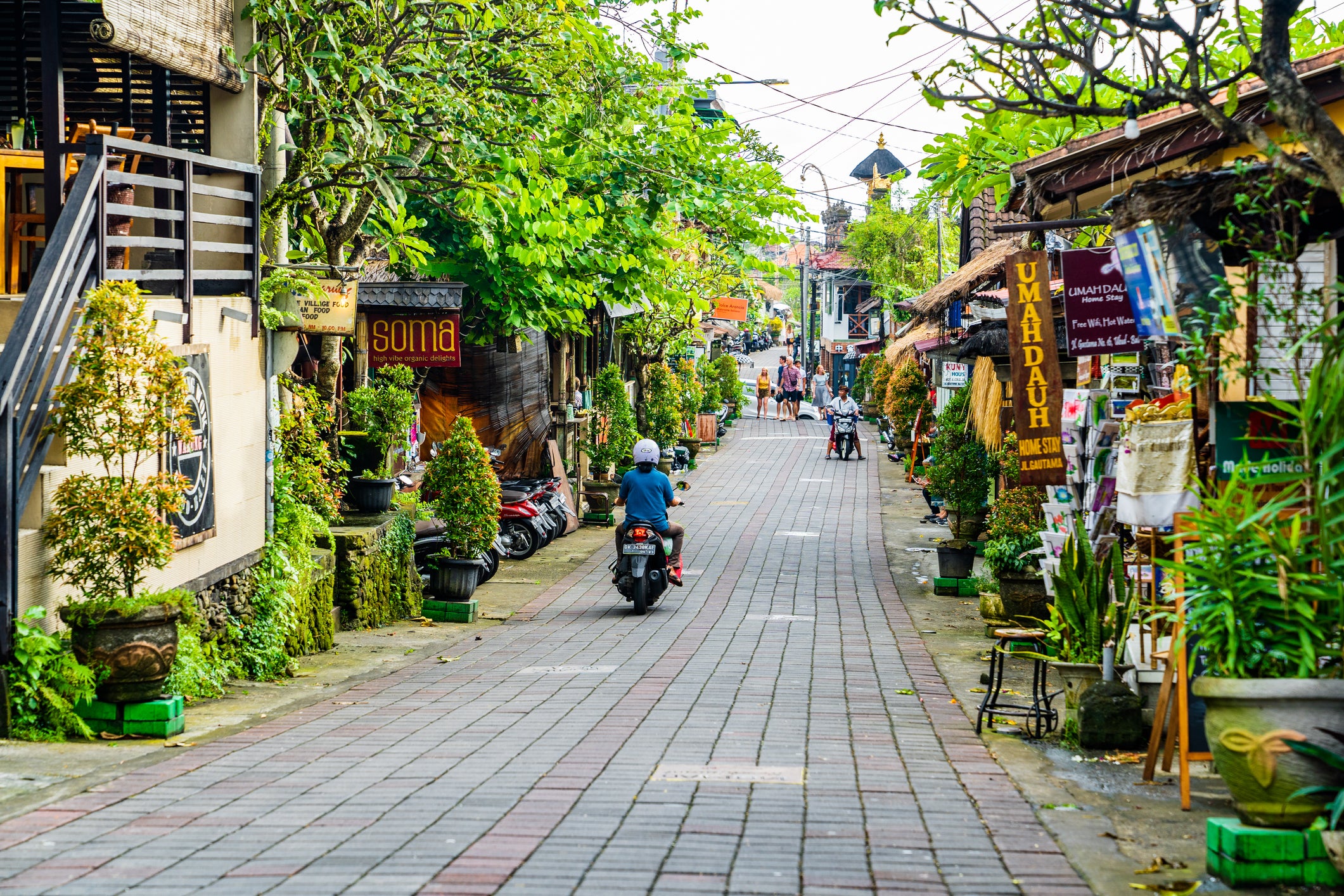 <p>Ubud, known as Bali’s cultural heart, is incredibly popular with tourists</p>