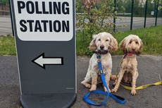 The real numbers to watch in these local election results