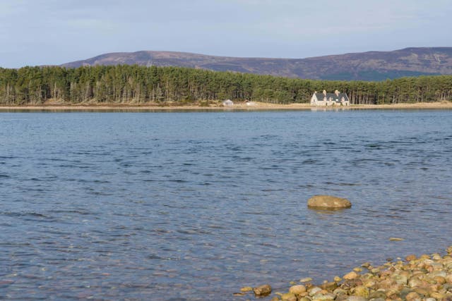 The whale was found at Loch Fleet nature reserve (Alamy/PA)