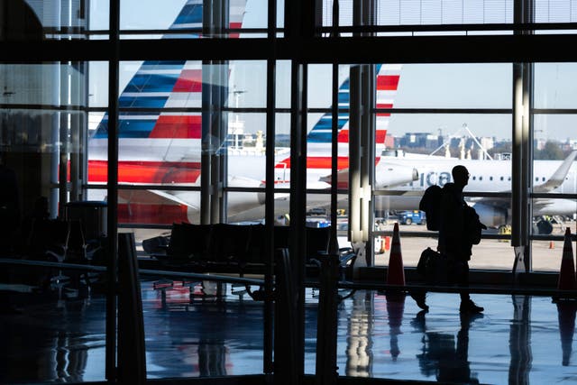 <p>American Airlines airplanes are seen past a traveler walking through Ronald Reagan Washington National Airport</p>