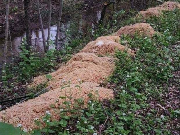 A New Jersey town was left baffled after discovering hundreds of pounds of cooked pasta mysteriously dumped in the woods