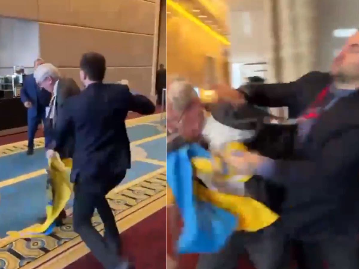 Fighting breaks out at summit in Turkey after Russian delegate pulls down Ukrainian flag