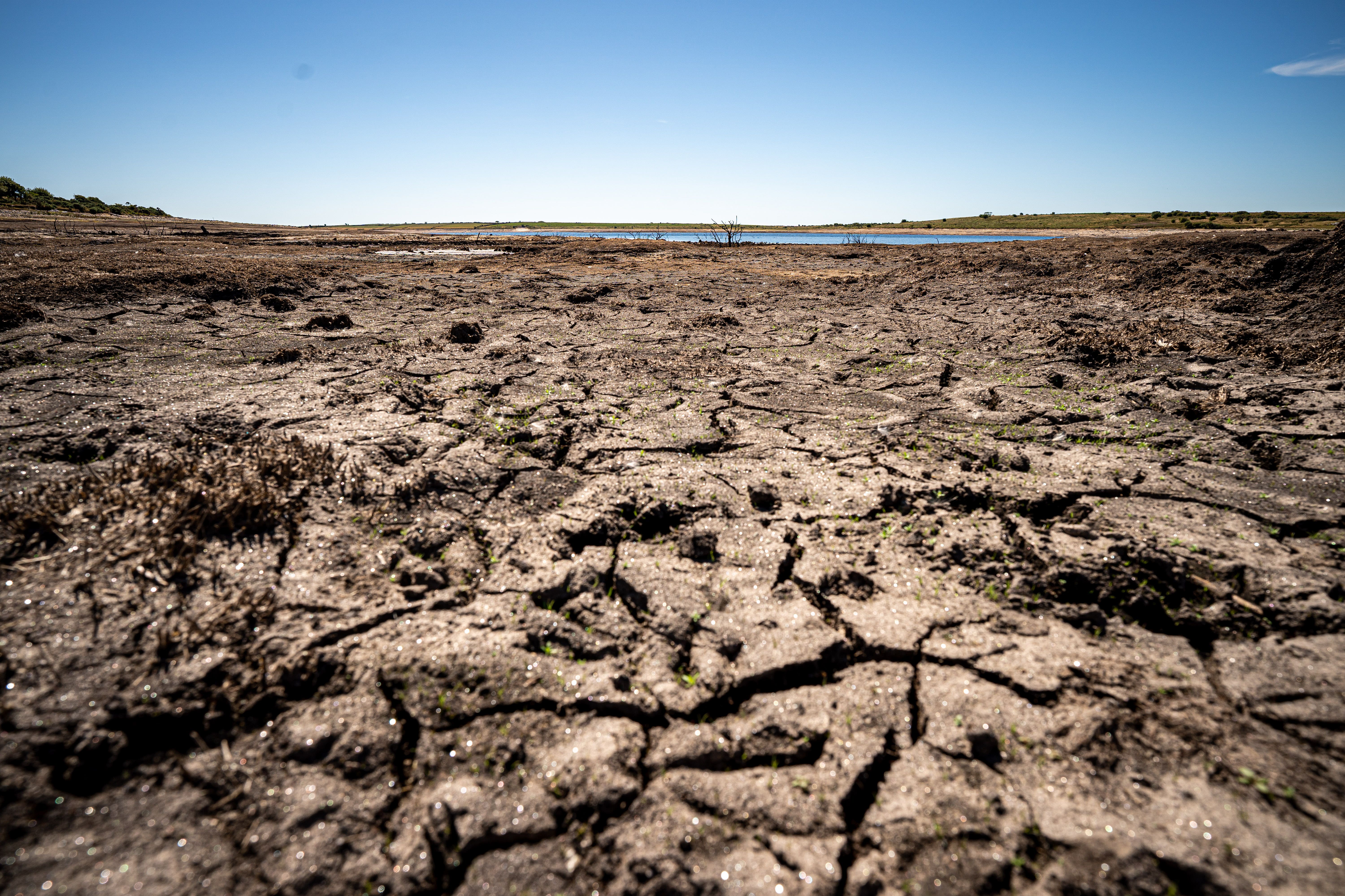 Lakes around the world are shrinking and some have even dried up (Ben Birchall/PA)