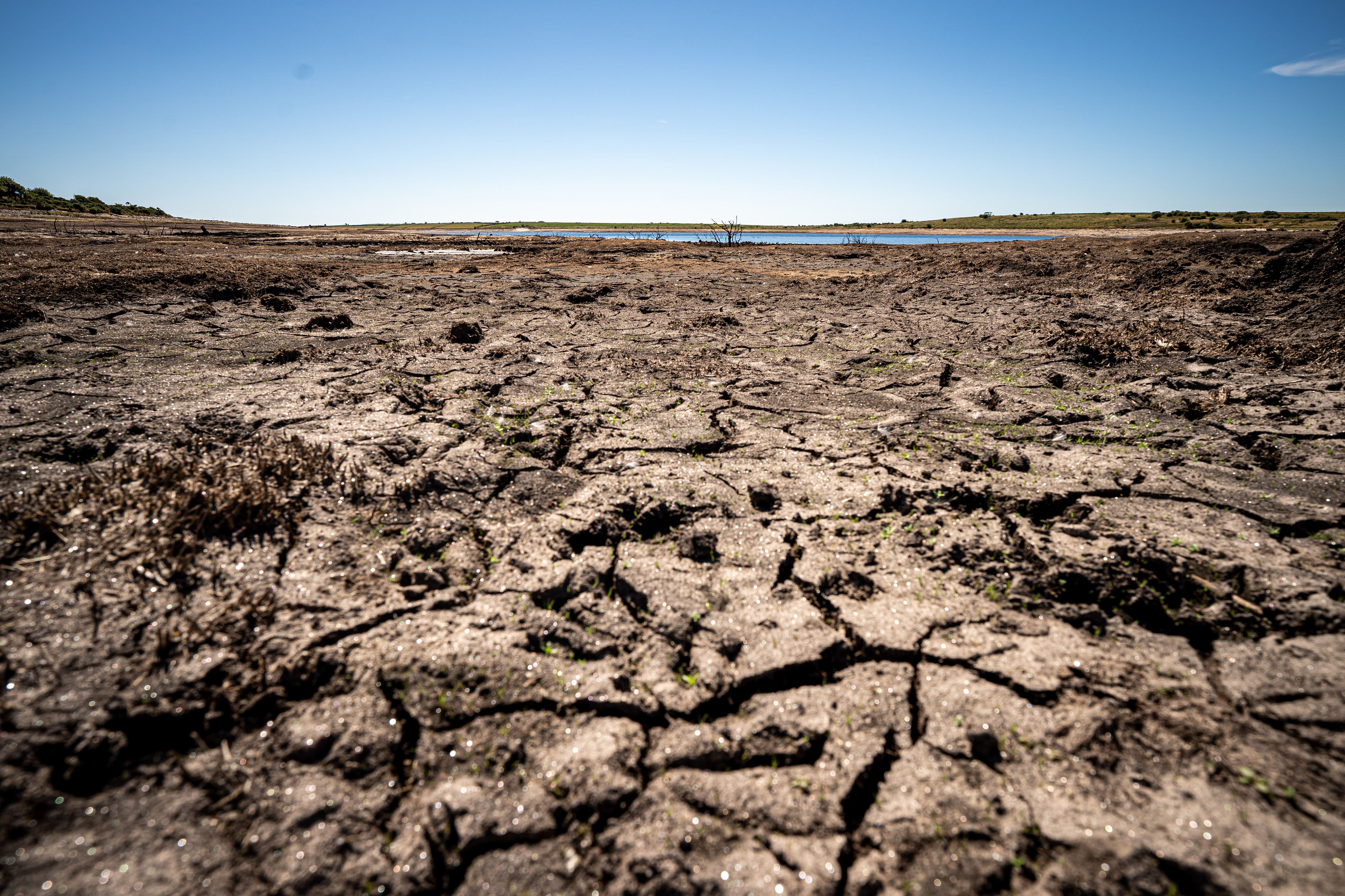 A dried up lake