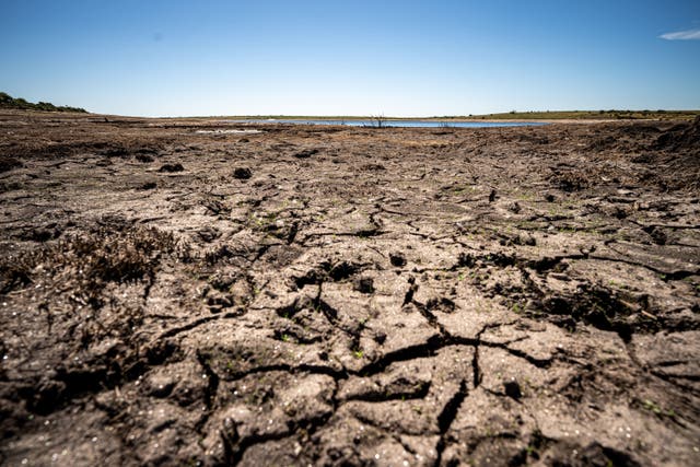 <p>Lakes around the world are shrinking and some have even dried up (Ben Birchall/PA)</p>