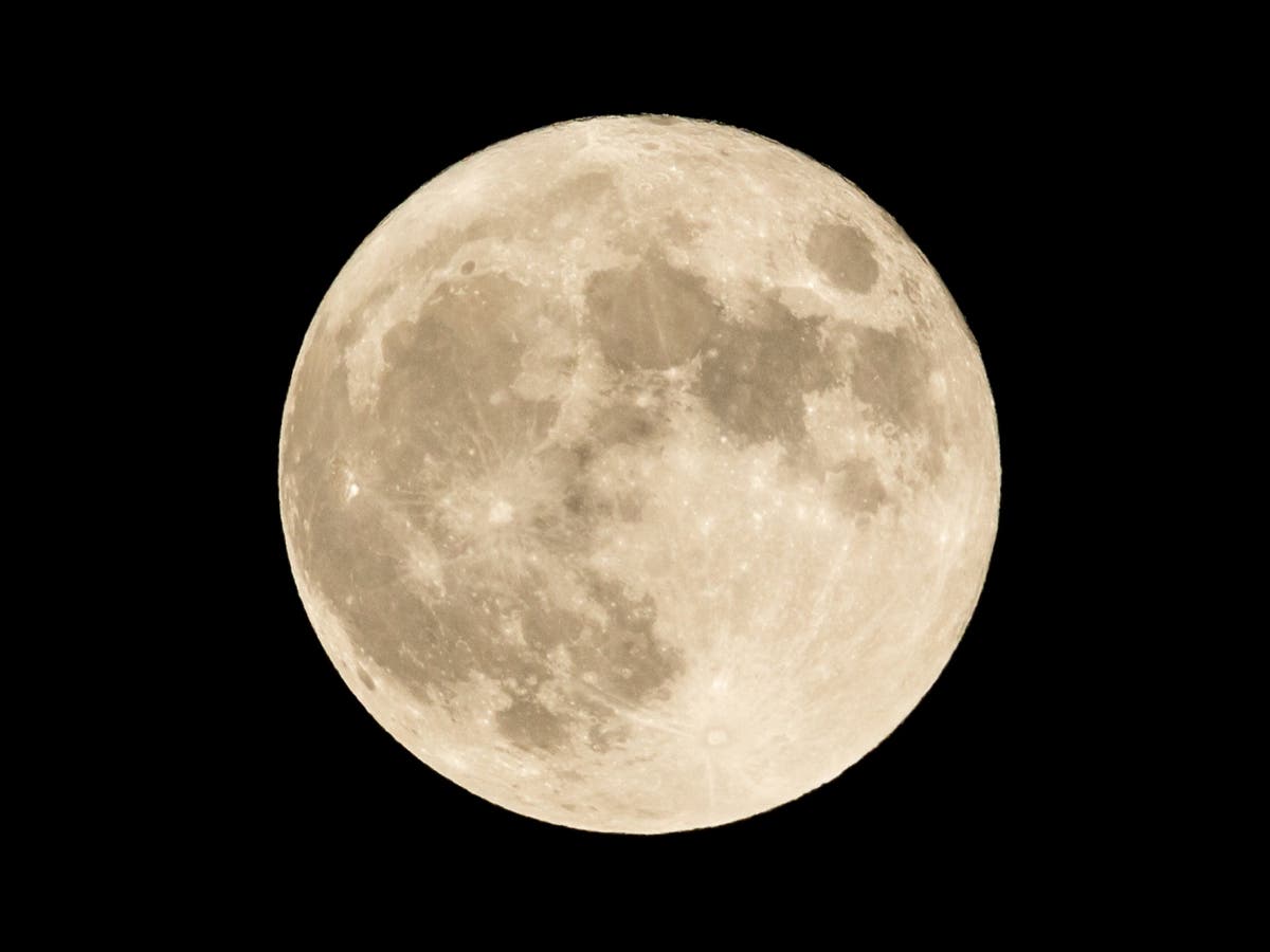 Moon eyes christmas party