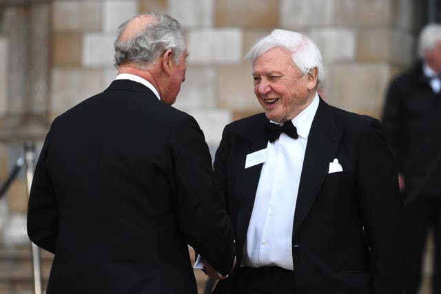 Sir David Attenborough (right) greets the then-Prince of Wales (Kirsty O/Connor/PA)