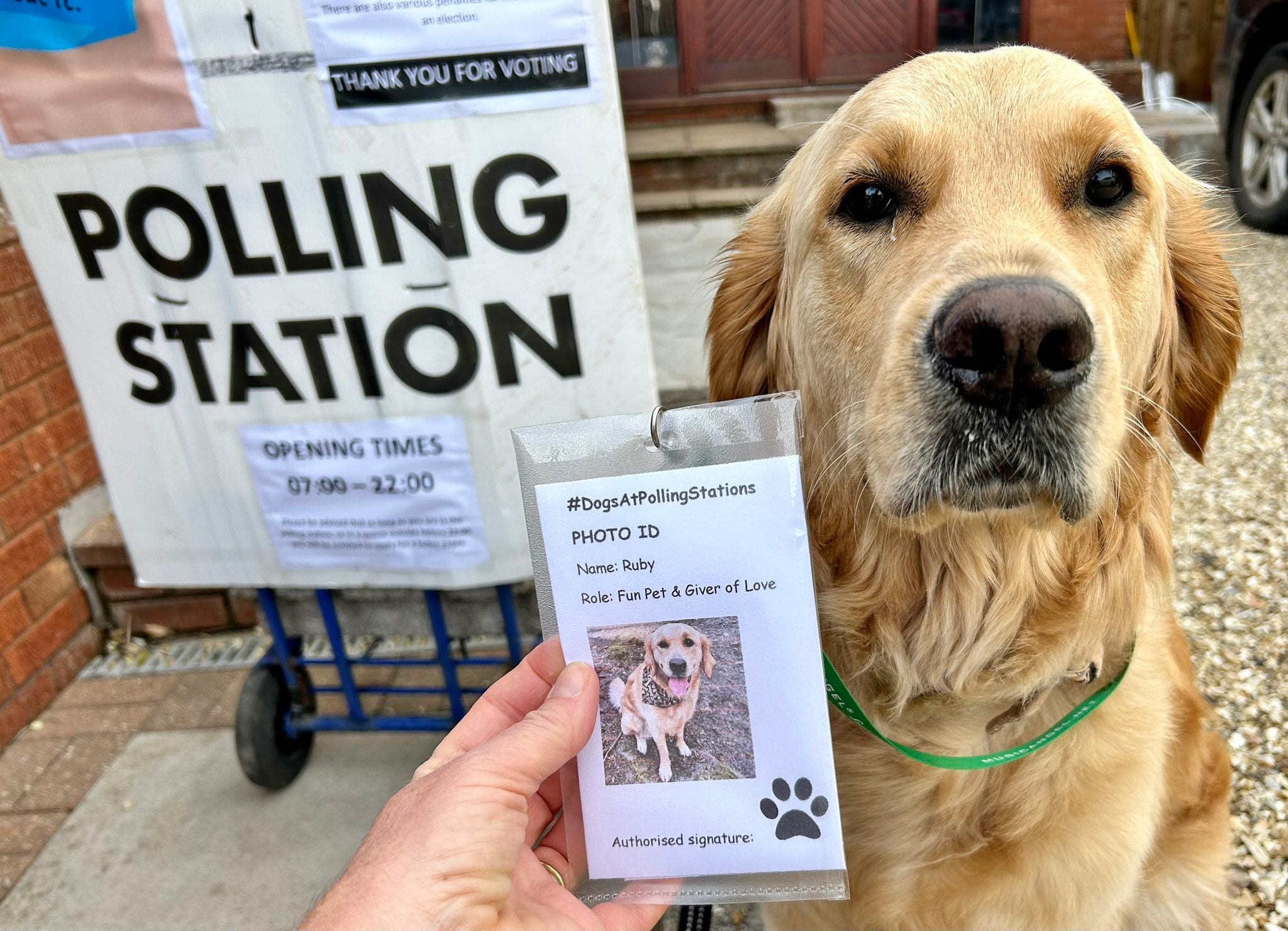 Handout photo issued by Annette Hill who made her dog Ruby her own photo ID, complete with name, photo, and an "authorised signature" of a paw print
