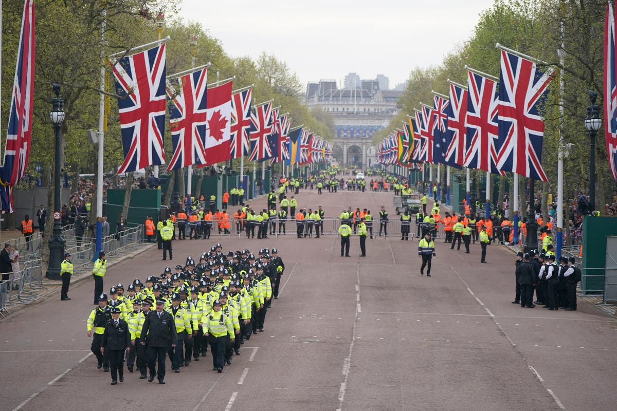 Royal superfan arrested for standing near Just Stop Oil protesters misses coronation