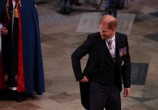 My heart bleeds for Prince Harry at the coronation – doesn’t yours?