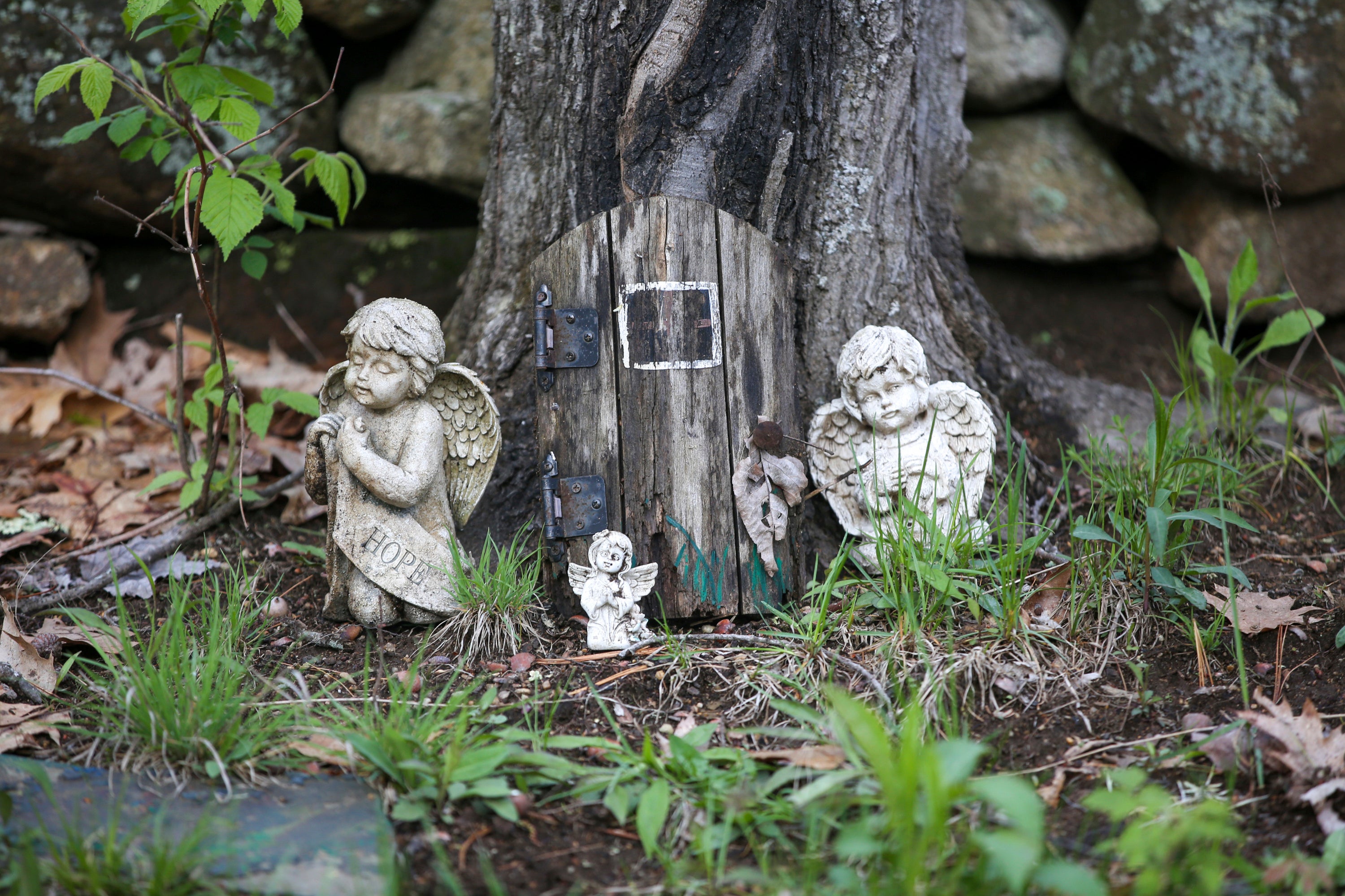 Abortion Pill Miscarriage