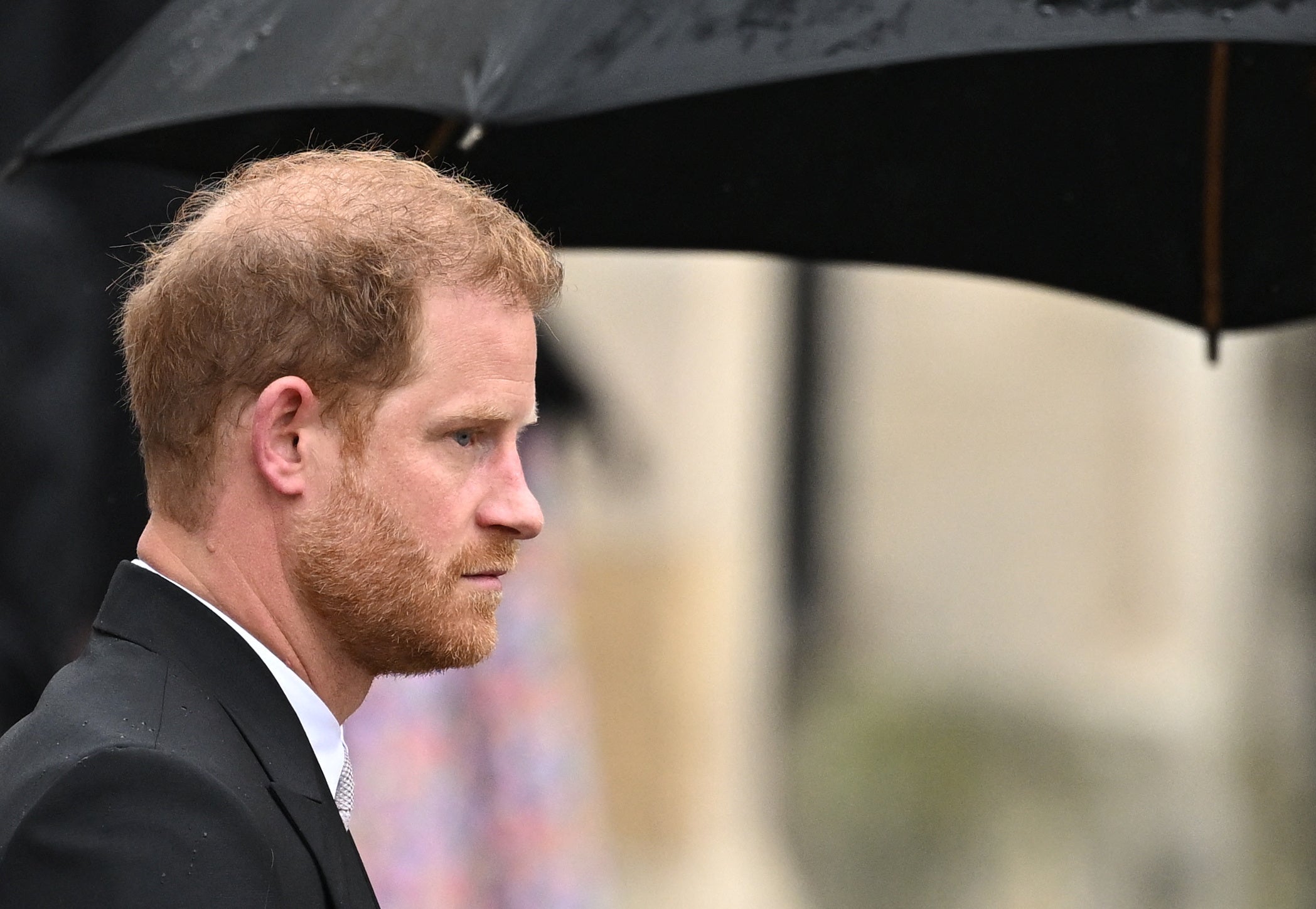 <p>My wish is that the Duke of Sussex finds his way</p>