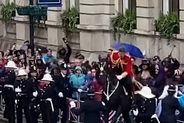 <p>Spooked horse crashes into barrier behind King's carriage</p>
